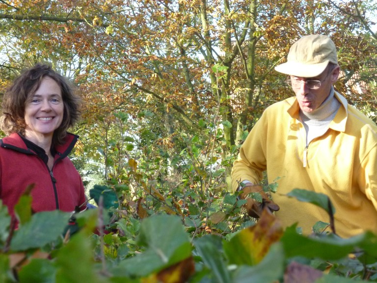 Groenwerkgroep Abdij van Egmond